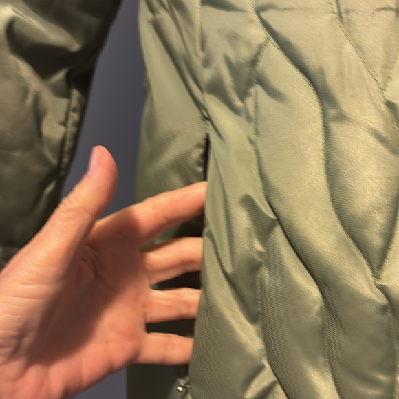 Puffer - Picture 3 of 5